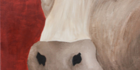 Cow