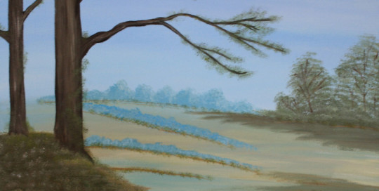 Forest edge