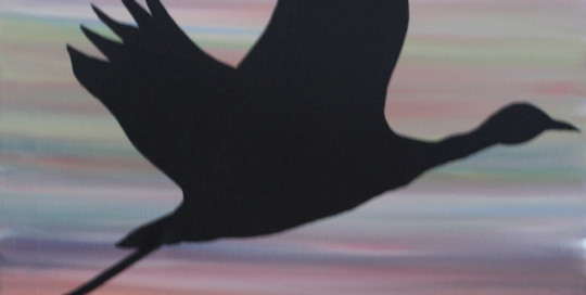Magnificent Bird