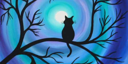 Magic Cat