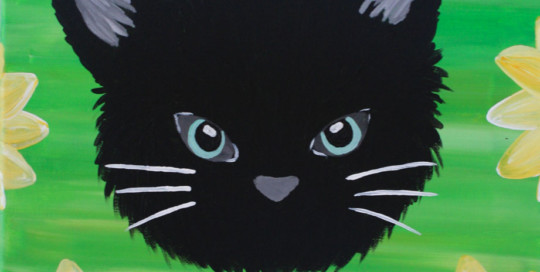 Sweet Kitty