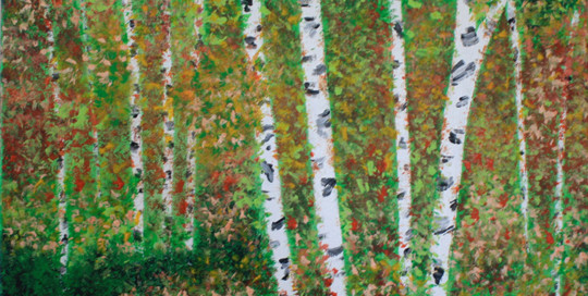 Birch Forest