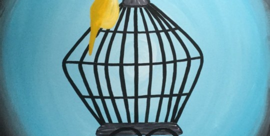 Canary Cage