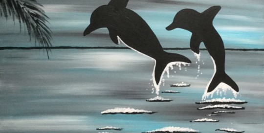 Dolphin Daze