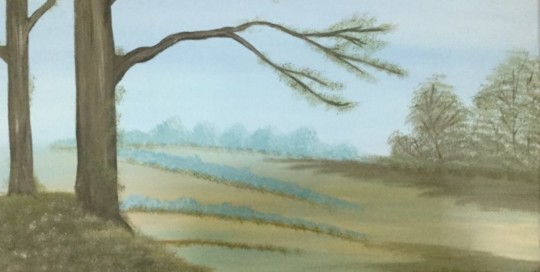 Meadow
