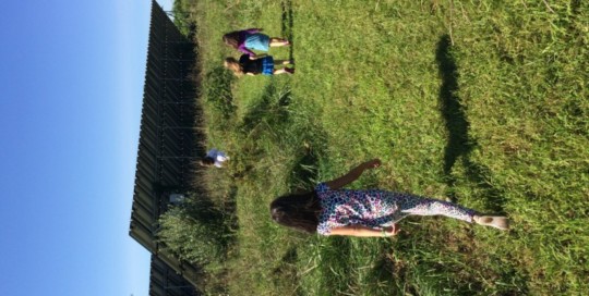 Solar Walk