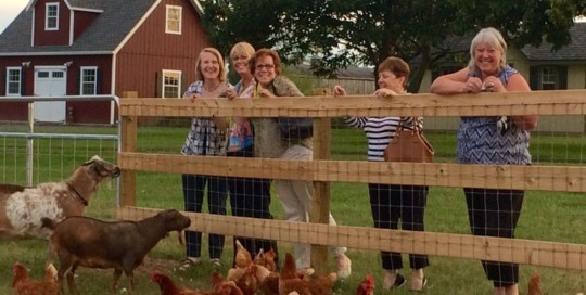 Farm Friends