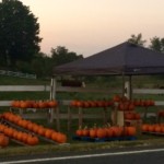Public Event - Fall Pumpkin Festival
