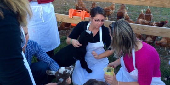 Farm Tour