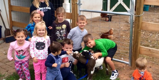 Farm Visit