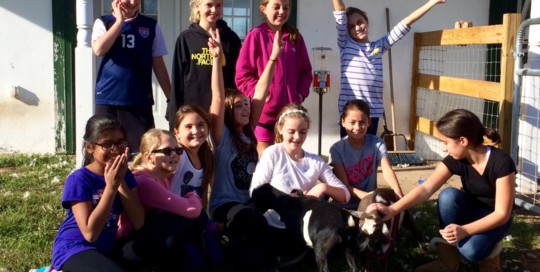Girl Scouts