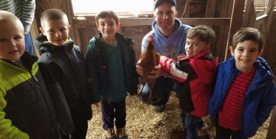 Chicken Coop