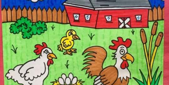 Poultry Picture