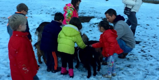 Pet the Goats