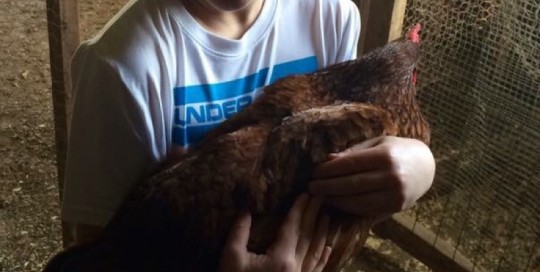 Hen Holding