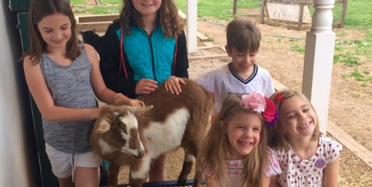 New Friends