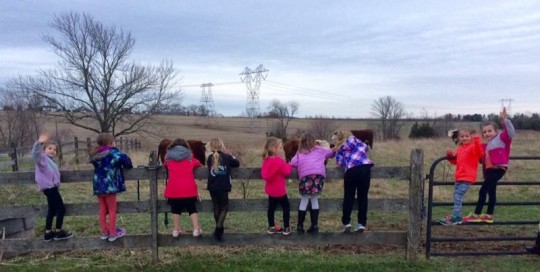 On The Fence