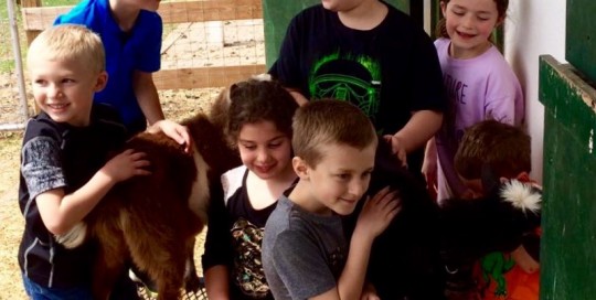 Our New Friends