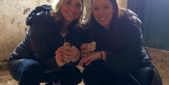 Two Chicks