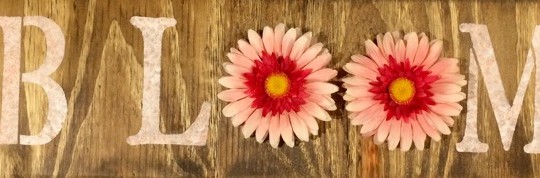 Bloom