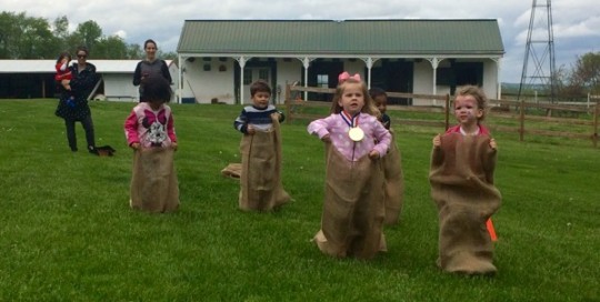 Burlap Sacks