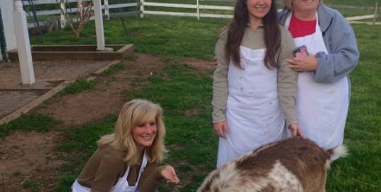Goat Visit