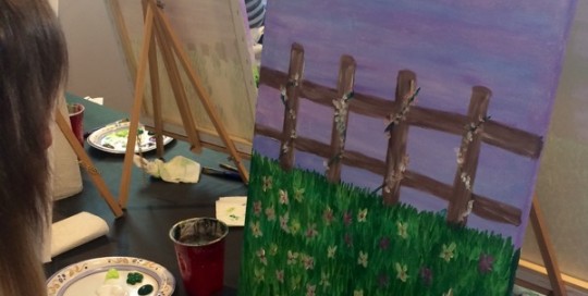 Spring Fence