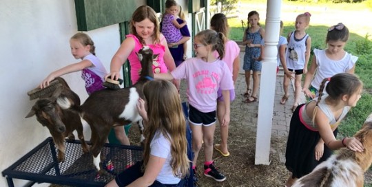 Farm Friends