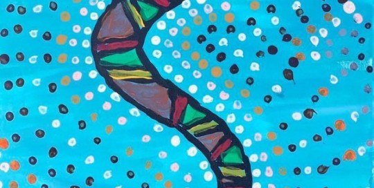 Aboriginal Snakes