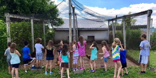 Coop Campers