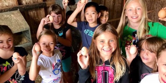 Egg-cellent Campers