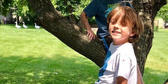 Two in a Tree
