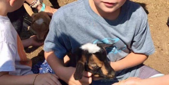 Baby Geronimo