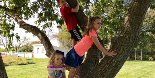 Family Tree