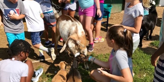 Farm Field Trip