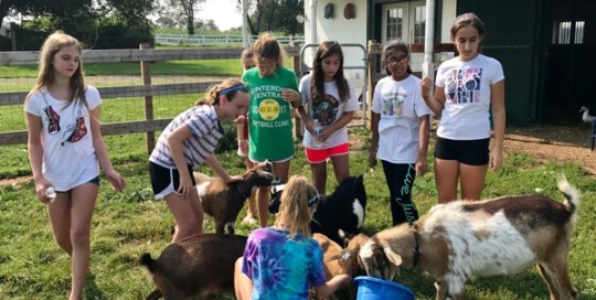 Girl Scout Visit