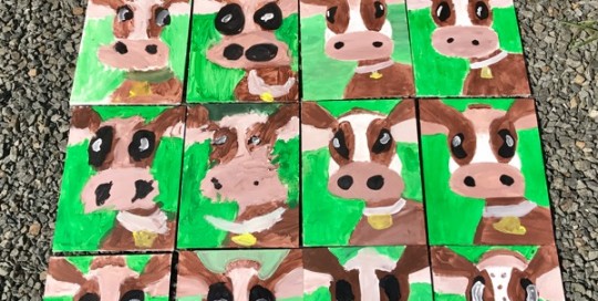 Group Cows