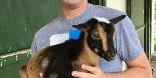 Meet Geronimo