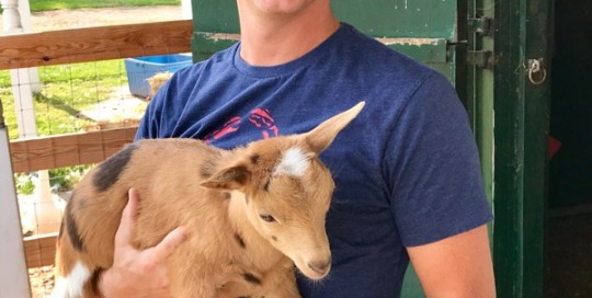 Meet Moose