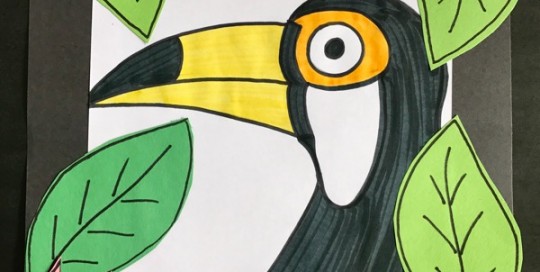 Toucan Collage