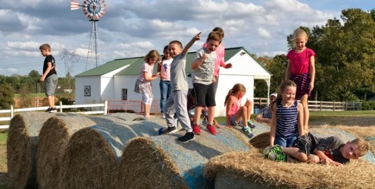 Farm Tour Fun