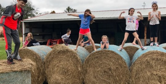 Bale Fun
