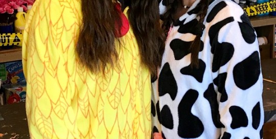 Cluck and Moo