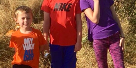 Fall Festival