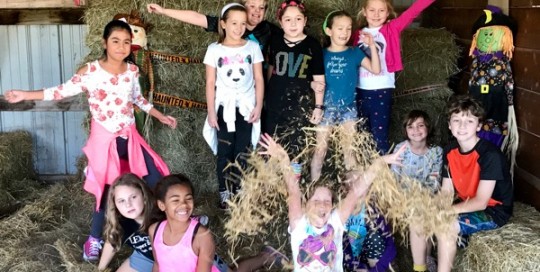 Hay Fun