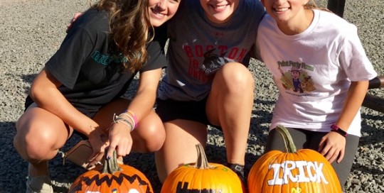 HC Pumpkins