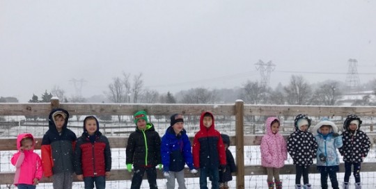 Snowy Tour