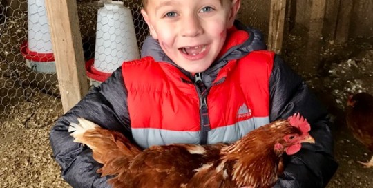 A Happy Hen