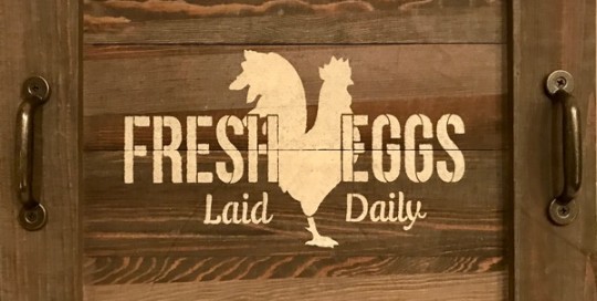 Fresh Eggs