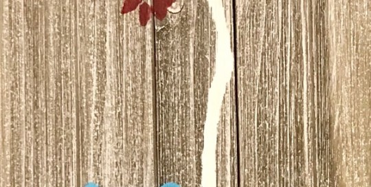 Blue Birds